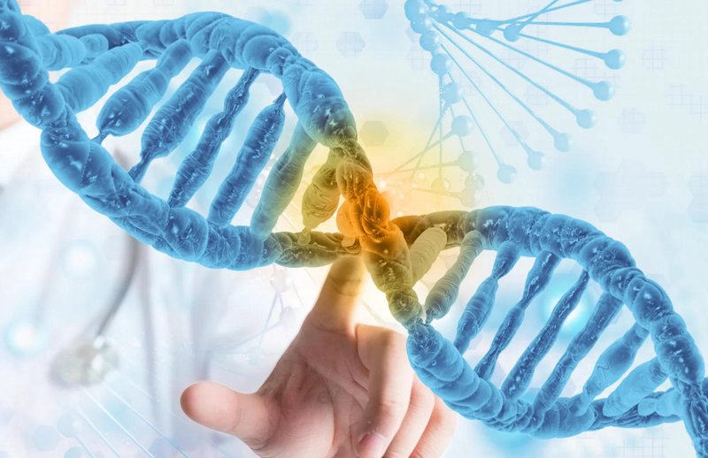 分子生物学服务
