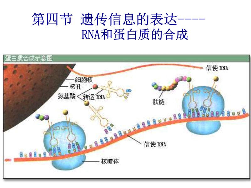 郑州生物科技选购全攻略：打造健康生活