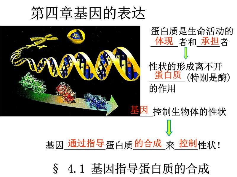 蛋白质表达：生命科学的灯塔